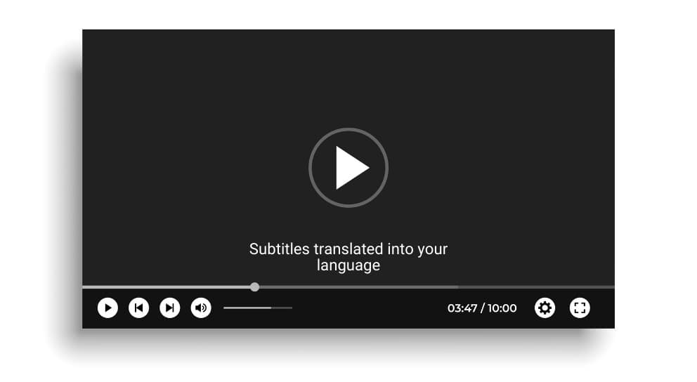 Video translation demo